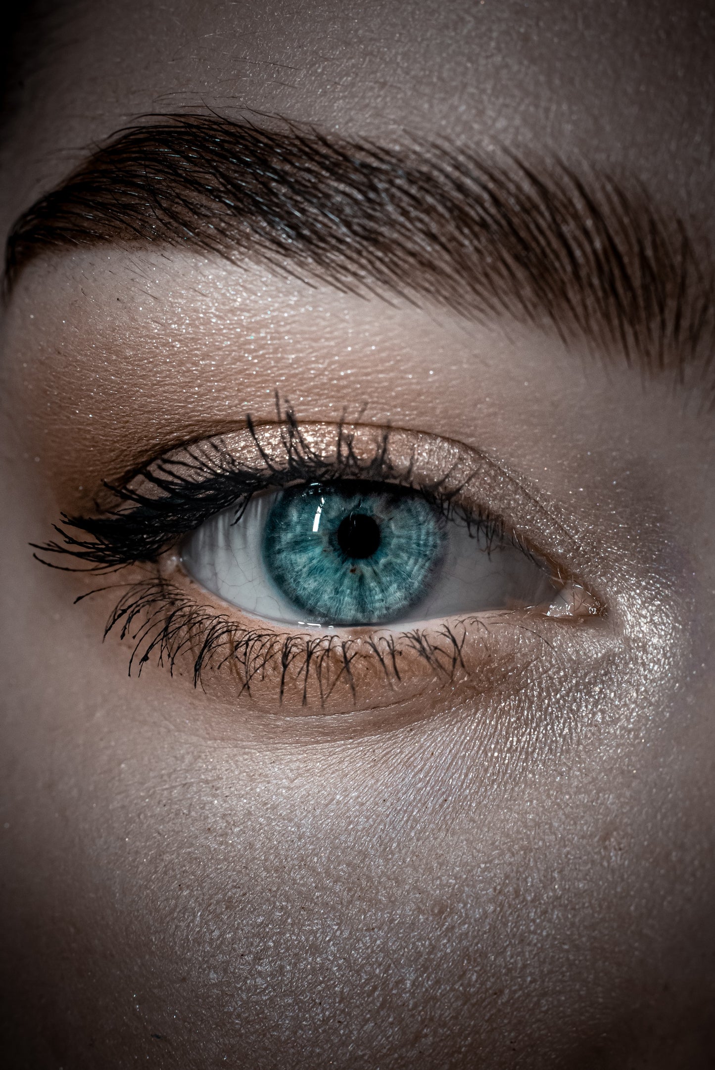 Eyelash Extensions - Russian Volume Infills