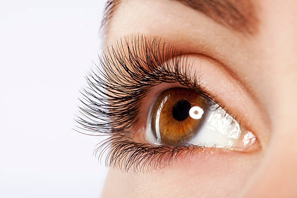Eyelash Extensions - Classic Infills